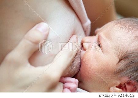 newborn baby sucks breast 9214015