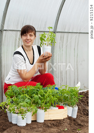 woman with tomato seedlings woman with tomato seedlings 9215154