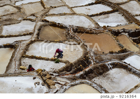 89017 マラス塩田 89017 マラス塩田 9216364