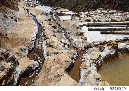 89022　マラス塩田 9216369