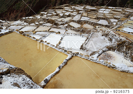 89028 マラス塩田 89028 マラス塩田 9216375