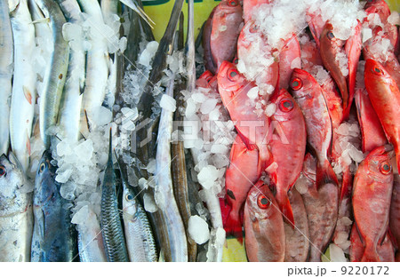 Raw fish on market counter Raw fish on market counter 9220172