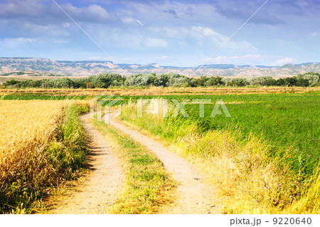 Rural landscape with fields. Aragon 9220640