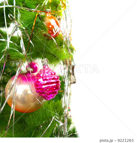 Christmas fir tree on white background 9221263