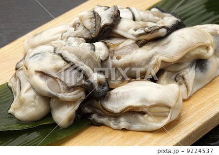 剥き牡蠣 剥き牡蠣 9224537
