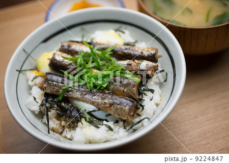 オイルサーディン丼 9224847