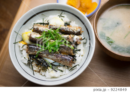 オイルサーディン丼 9224849