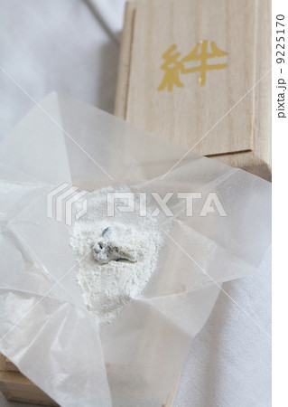 へその緒 へその緒 9225170