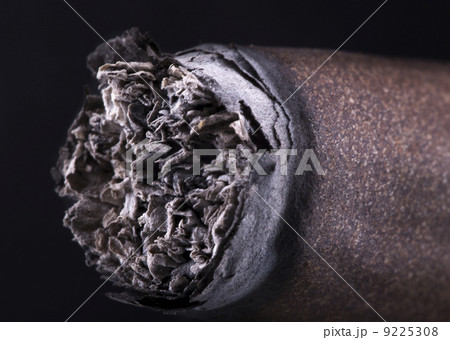 macro of Cigar over black background macro of Cigar over black background 9225308