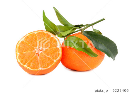 Ripe tangerines 9225406