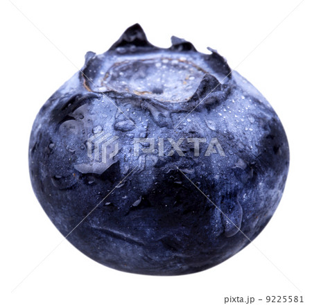 blueberrie with water drops isolated 9225581