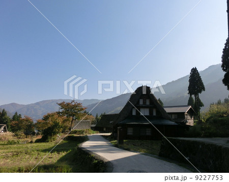 早朝の相倉 9227753