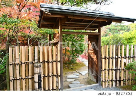 秋の白鳥庭園 秋の白鳥庭園 9227852