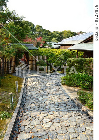秋の白鳥庭園 9227856