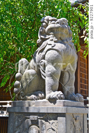 牛嶋神社の狛犬(吽形像)（牛嶋神社／東京都墨田区向島1-4-5） 9227901