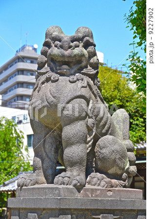 牛嶋神社の狛犬(阿形像)(牛嶋神社/東京都墨田区向島1-4-5) 牛嶋神社の狛犬(阿形像)(牛嶋神社/東京都墨田区向島1-4-5) 9227902