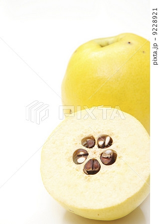 カリンの実 9228921