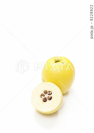 カリンの実 カリンの実 9228922
