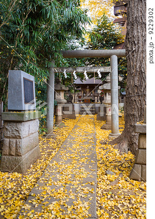 高円寺　気象神社 9229302
