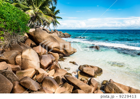 beach on Seychelles 9229413