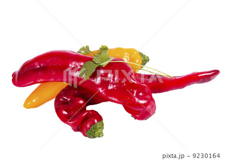 Paprika red and yellow Paprika red and yellow 9230164