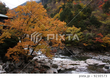 御手洗渓谷 御手洗渓谷 9230573
