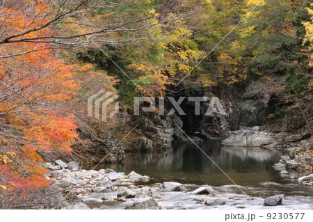 みたらい渓谷 みたらい渓谷 9230577