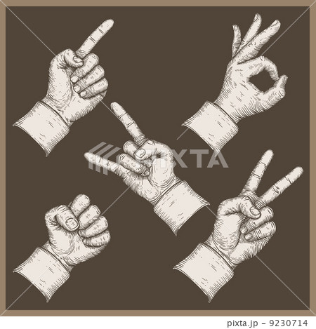 illustration of five hands  9230714