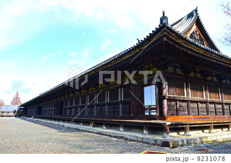 三十三間堂(蓮華王院)の「本堂」(京都市東山区三十三間堂廻町) 三十三間堂(蓮華王院)の「本堂」(京都市東山区三十三間堂廻町) 9231078