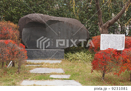 山頭火句碑 9231081