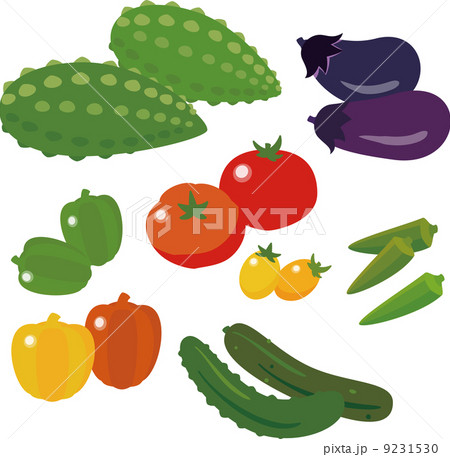 たくさんの夏野菜のイラスト素材