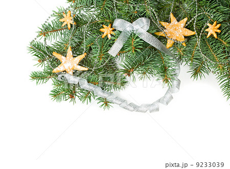 Gingerbread cookies, Christmas 9233039