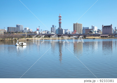 春の千波湖 9233381
