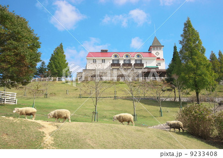 ヒツジ 9233408