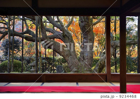 額縁庭園　宝泉院　秋 9234468