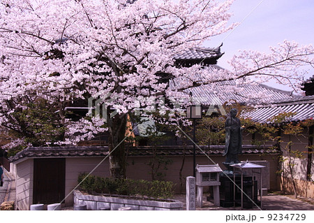 圓山地蔵尊(京都 円山公園)と桜 圓山地蔵尊(京都 円山公園)と桜 9234729