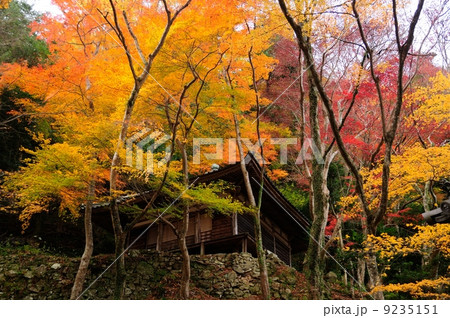 大威徳寺  大威徳寺  9235151