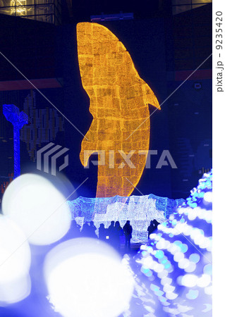 海遊館のイルミネーション 海遊館のイルミネーション 9235420