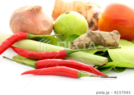 Thai food ingredient for Tom yum kung isolated in white backgrou Thai food ingredient for Tom yum kung isolated in white backgrou 9237093