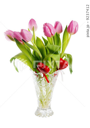 Pink tulips, it is isolated on white Pink tulips, it is isolated on white 9237412