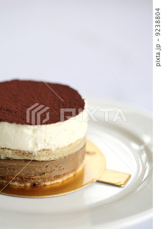 Tiramisu cake 9238804