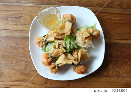 Wonton Oriental deep fried wontons 9238805