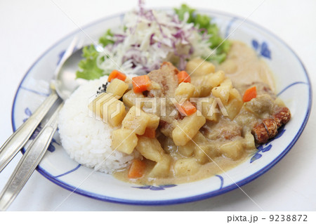 Curry rice with fried pork 9238872