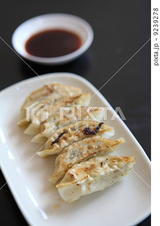 gyoza gyoza 9239278