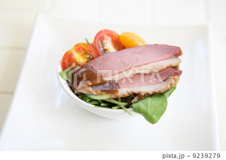 duck salad duck salad 9239279