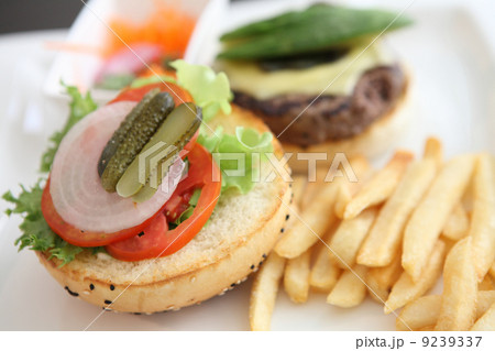 Beef Hamburger Beef Hamburger 9239337