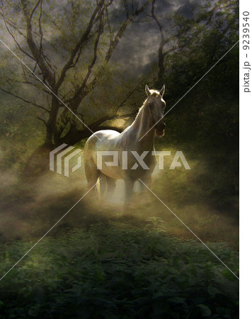 Horse in a misty forest fairy 9239540