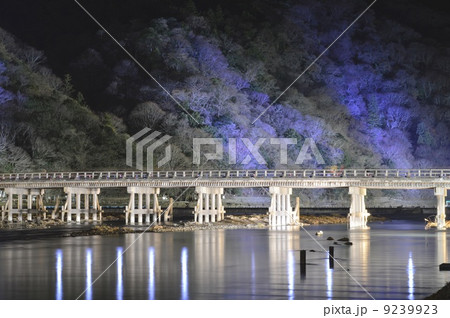 京都　嵐山花灯路 9239923