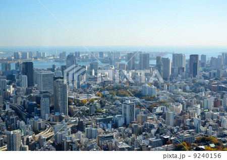 東京湾岸の俯瞰 9240156