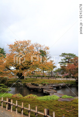 秋の兼六園(雁行橋) 秋の兼六園(雁行橋) 9241478